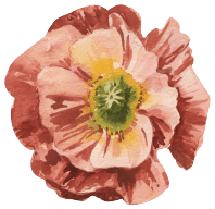 Flor Fleur Barcelona