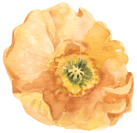 Flor Fleur Barcelona