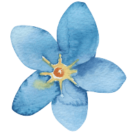 Flor Fleur Barcelona