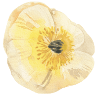 Flor Fleur Barcelona