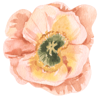Flor Fleur Barcelona