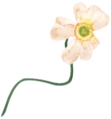 Flor Fleur Barcelona