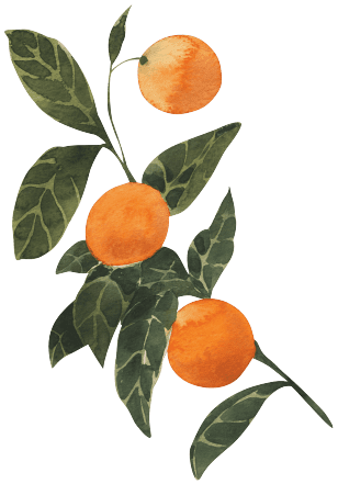 Naranjo Fleur Barcelona
